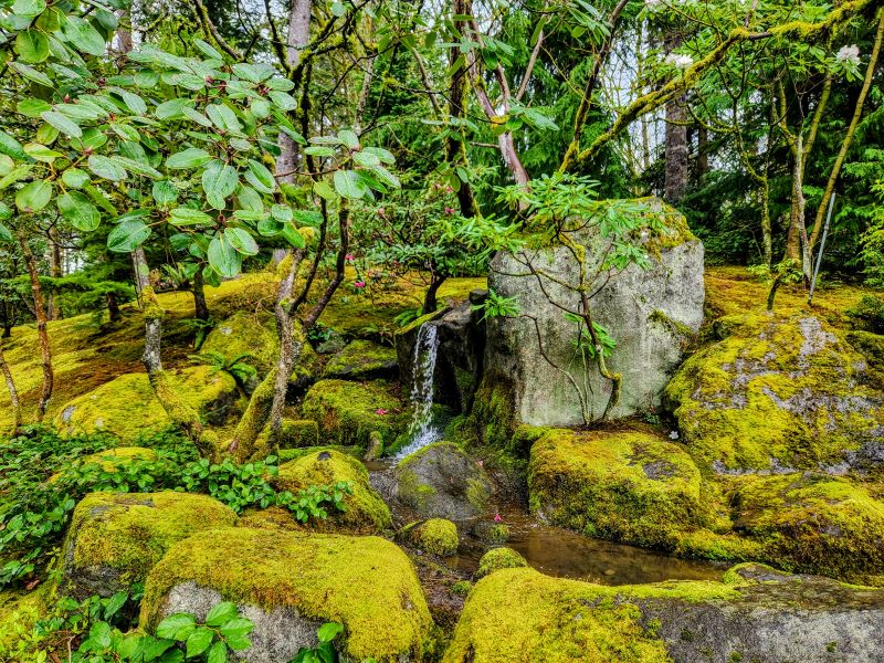 Japanese Waterfall